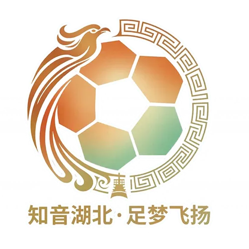 湖北省城市足球联赛 武汉华工科技队VS黄冈祥云队20260927